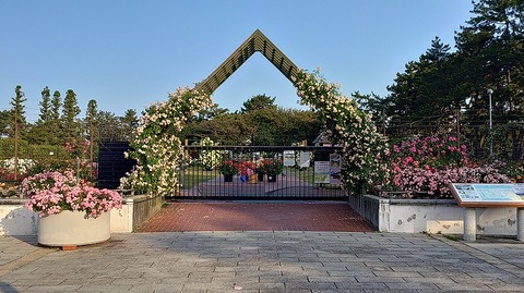 KIMG20260519_061430905