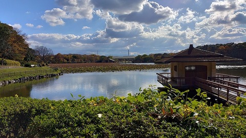 KIMG20251204_131554699