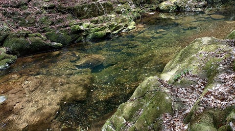 KIMG20260417_122147247