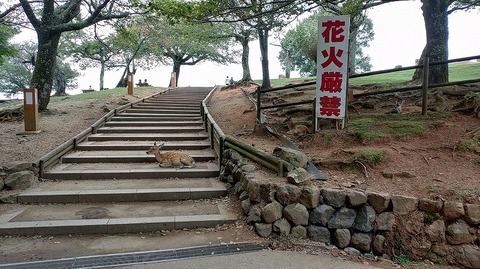 KIMG20250917_114459066