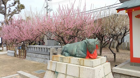 KIMG20260302_122345807