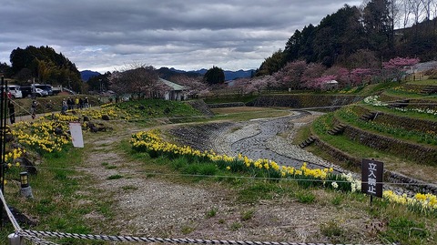 KIMG20260331_113457643