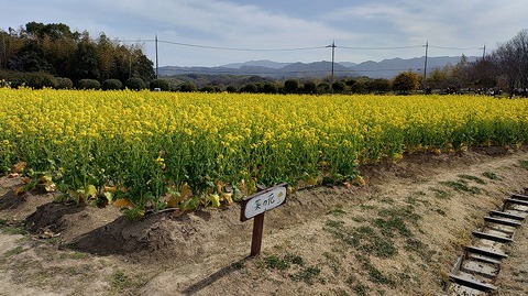 KIMG20260224_123306131