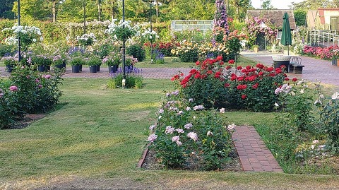 KIMG20260519_061240428