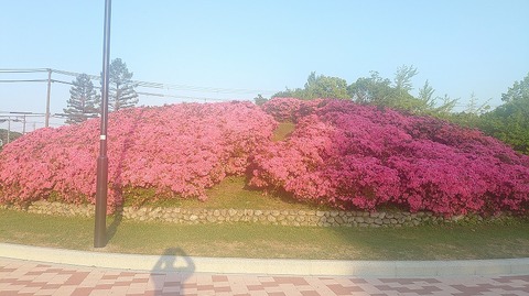 KIMG20260516_060504462
