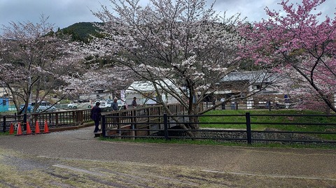 KIMG20260331_113247011