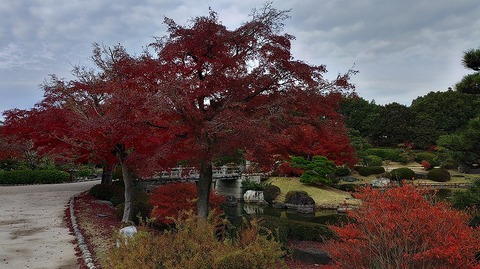 KIMG20251203_102024037