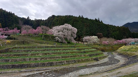 KIMG20260331_113828415