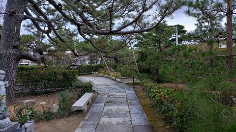 KIMG20260208_074724558