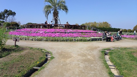 KIMG20260408_095848912