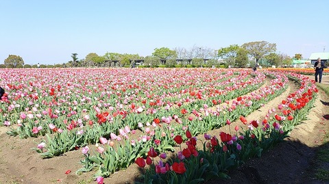 KIMG20260408_095801049