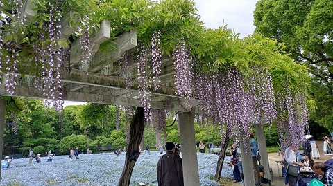 KIMG20260422_102158302