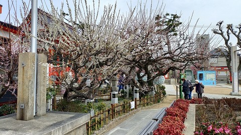 KIMG20260302_124236455