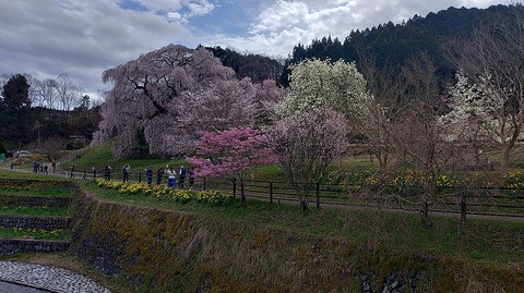 KIMG20260331_113402526