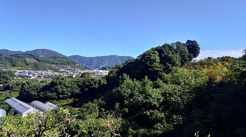 .trashed-1763772107-KIMG20251023_094106168