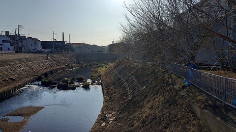 KIMG20260221_084609229