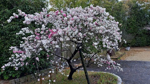 KIMG20260402_065550877