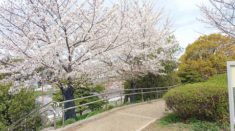 KIMG20260406_104007692