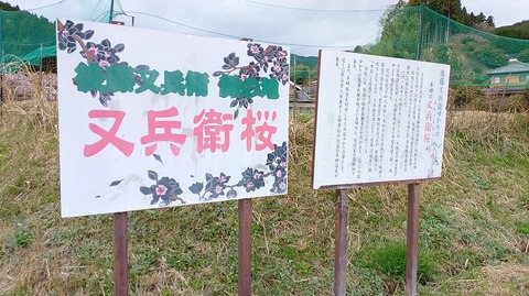 KIMG20260331_113938672