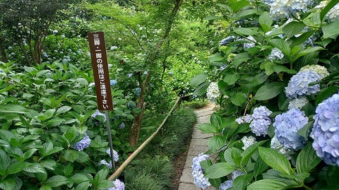 KIMG20260618_101120854
