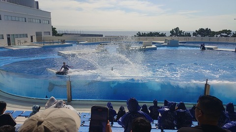 KIMG20251008_113939757