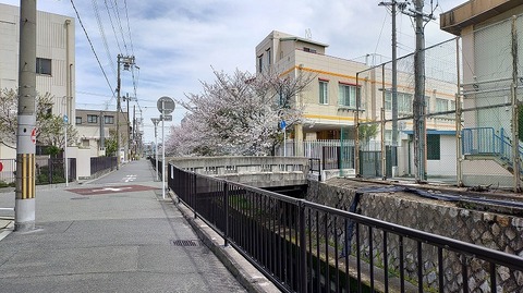 KIMG20260405_105742514