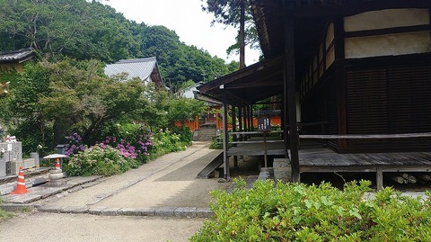 KIMG20260618_095836535