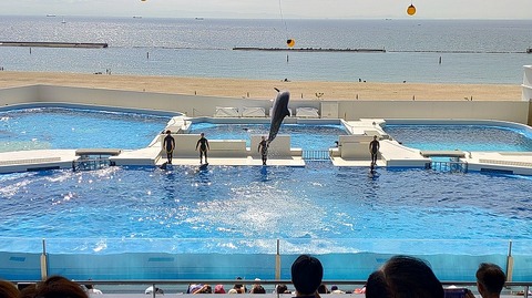 KIMG20251008_110436777