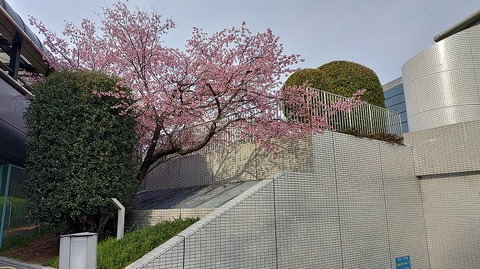 KIMG20260322_075853354