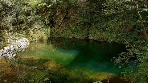 KIMG20260417_120506532