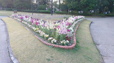 KIMG20260327_060336098