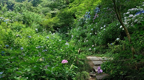 KIMG20260618_101657950