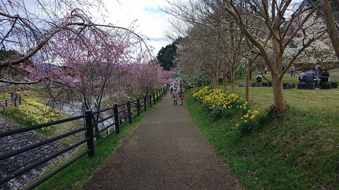 KIMG20260331_112306763