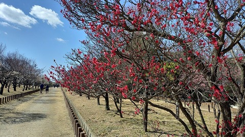 KIMG20260219_121859780