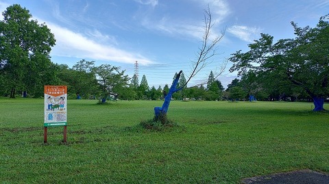 KIMG20260608_061523747