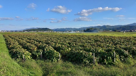 KIMG20251029_153550478