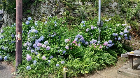 KIMG20260618_100526811