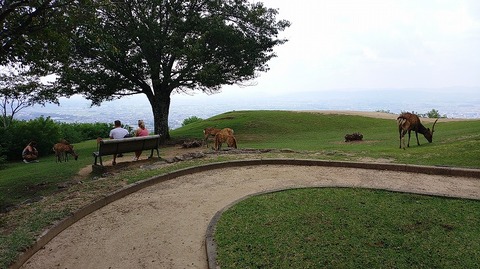 KIMG20250917_114545890