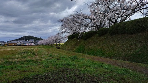 KIMG20260331_103635476