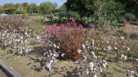 KIMG20251114_103346887