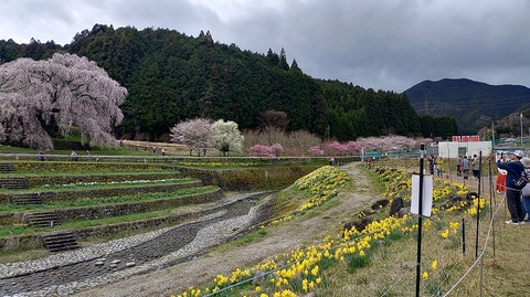 KIMG20260331_113616161