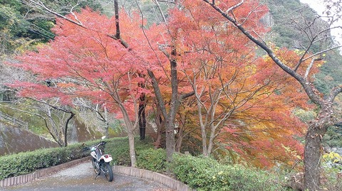 KIMG20251202_124857412