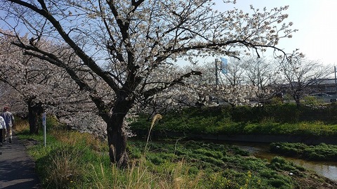 KIMG20260403_082409773