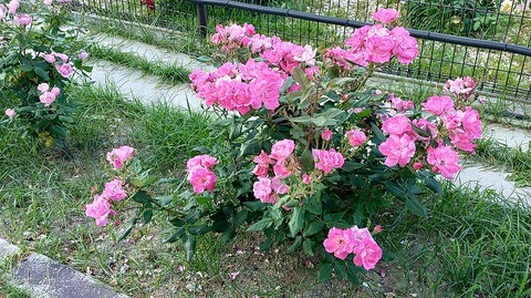 KIMG20260519_061347327