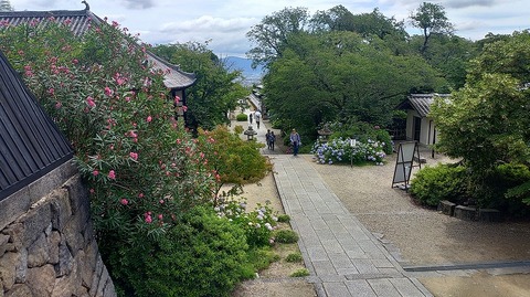 KIMG20260618_100811075