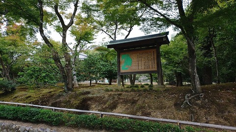 KIMG20250925_074639309