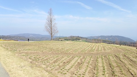 KIMG20260324_120639821