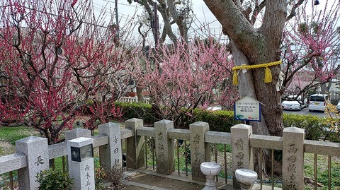 KIMG20260302_123717028