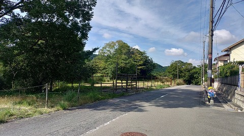 KIMG20260822_090058744