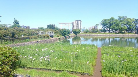 KIMG20260530_135830444